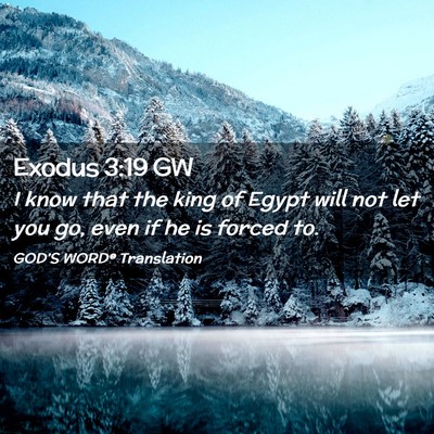 Picture 02 - Exodus 3:19 GW - I know that the king of Egypt will not let you - Bible Verse Picture