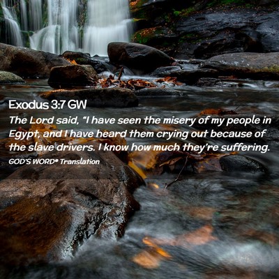 Picture 02 - Exodus 3:7 GW - The Lord said, “I have seen the misery of my - Bible Verse Picture