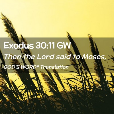 Picture 02 - Exodus 30:11 GW - Then the Lord said to - Bible Verse Picture