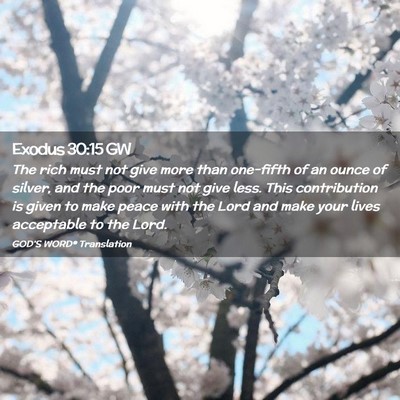 Picture 02 - Exodus 30:15 GW - The rich must not give more than one-fifth of an - Bible Verse Picture