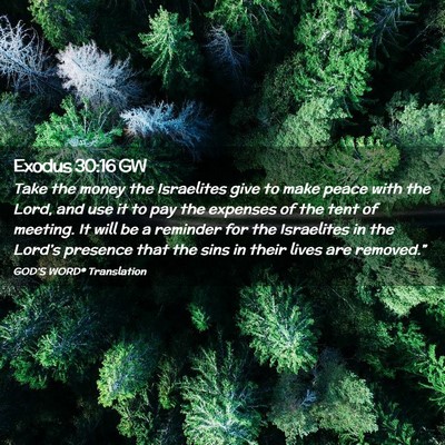Picture 02 - Exodus 30:16 GW - Take the money the Israelites give to make peace - Bible Verse Picture