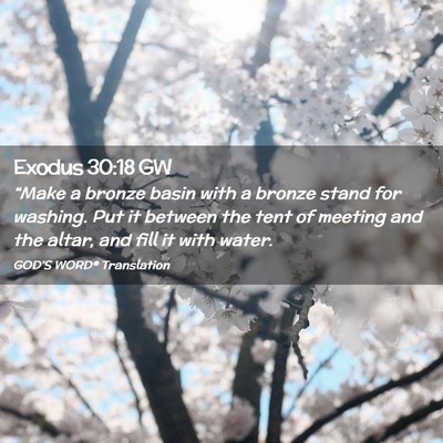 Picture 02 - Exodus 30:18 GW - “Make a bronze basin with a bronze stand for - Bible Verse Picture