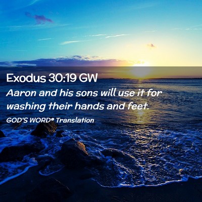 Picture 02 - Exodus 30:19 GW - Aaron and his sons will use it for washing their - Bible Verse Picture