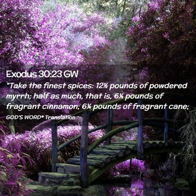 Picture 02 - Exodus 30:23 GW - “Take the finest spices: 12½ pounds of - Bible Verse Picture