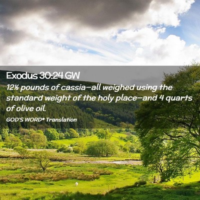 Picture 02 - Exodus 30:24 GW - 12½ pounds of cassia—all weighed using the - Bible Verse Picture