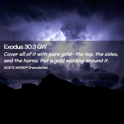 Picture 02 - Exodus 30:3 GW - Cover all of it with pure gold—the top, the - Bible Verse Picture