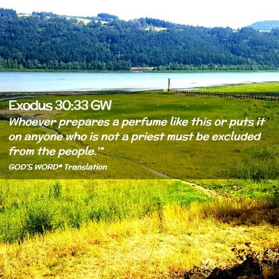 Picture 02 - Exodus 30:33 GW - Whoever prepares a perfume like this or puts it - Bible Verse Picture