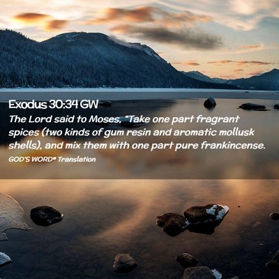 Picture 02 - Exodus 30:34 GW - The Lord said to Moses, “Take one part fragrant - Bible Verse Picture