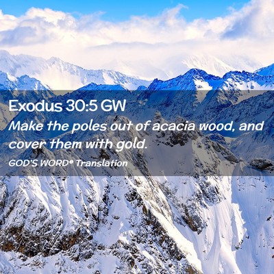 Picture 02 - Exodus 30:5 GW - Make the poles out of acacia wood, and cover them - Bible Verse Picture