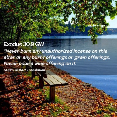 Picture 02 - Exodus 30:9 GW - “Never burn any unauthorized incense on this - Bible Verse Picture