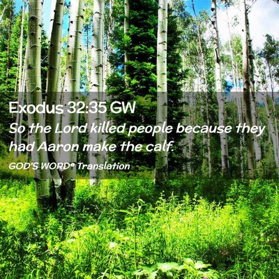 Picture 02 - Exodus 32:35 GW - So the Lord killed people because they had Aaron - Bible Verse Picture