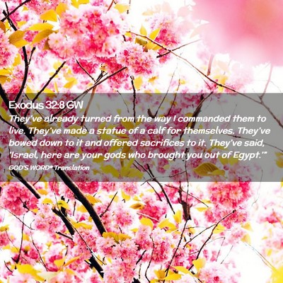 Picture 02 - Exodus 32:8 GW - They’ve already turned from the way I commanded - Bible Verse Picture