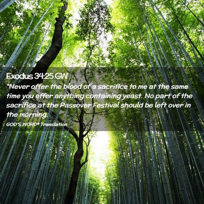 Picture 02 - Exodus 34:25 GW - “Never offer the blood of a sacrifice to me at - Bible Verse Picture