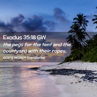 Picture 02 - Exodus 35:18 GW - the pegs for the tent and the courtyard with - Bible Verse Picture