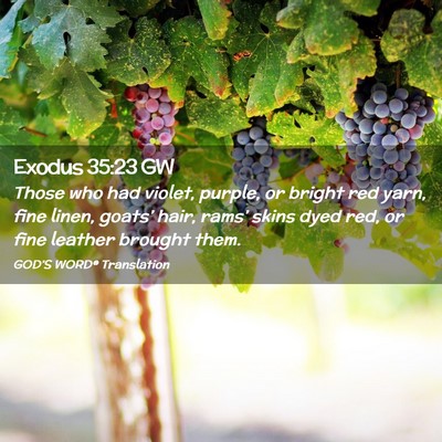Picture 02 - Exodus 35:23 GW - Those who had violet, purple, or bright red yarn, - Bible Verse Picture