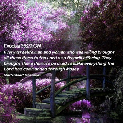 Picture 02 - Exodus 35:29 GW - Every Israelite man and woman who was willing - Bible Verse Picture