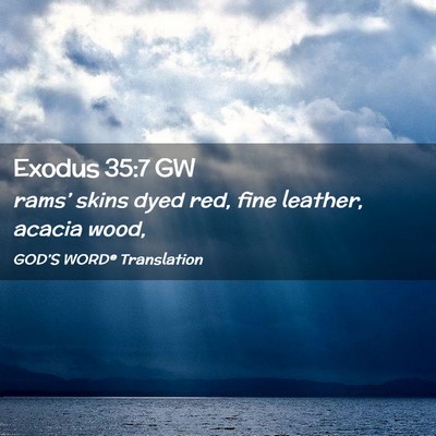 Picture 02 - Exodus 35:7 GW - rams’ skins dyed red, fine leather, acacia - Bible Verse Picture