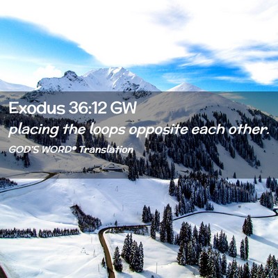 Picture 02 - Exodus 36:12 GW - placing the loops opposite each - Bible Verse Picture