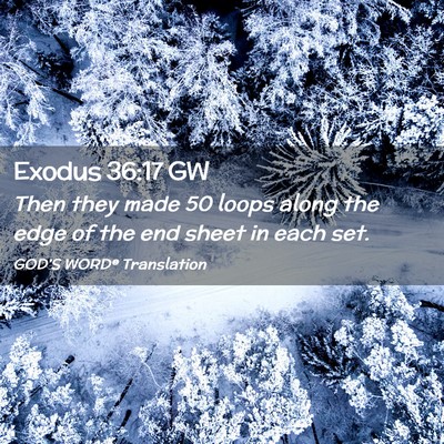 Picture 02 - Exodus 36:17 GW - Then they made 50 loops along the edge of the end - Bible Verse Picture