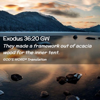 Picture 02 - Exodus 36:20 GW - They made a framework out of acacia wood for the - Bible Verse Picture
