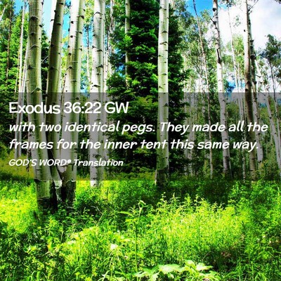 Picture 02 - Exodus 36:22 GW - with two identical pegs. They made all the frames - Bible Verse Picture