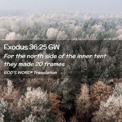 Picture 02 - Exodus 36:25 GW - For the north side of the inner tent they made 20 - Bible Verse Picture