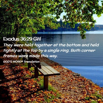 Picture 02 - Exodus 36:29 GW - They were held together at the bottom and held - Bible Verse Picture