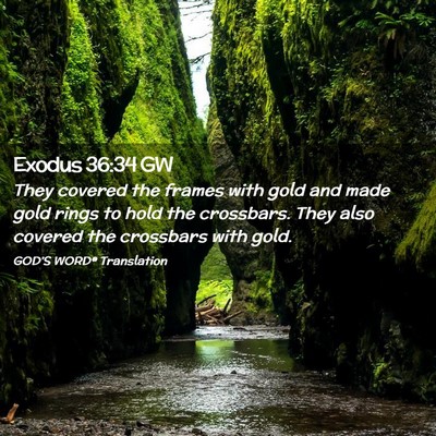 Picture 02 - Exodus 36:34 GW - They covered the frames with gold and made gold - Bible Verse Picture
