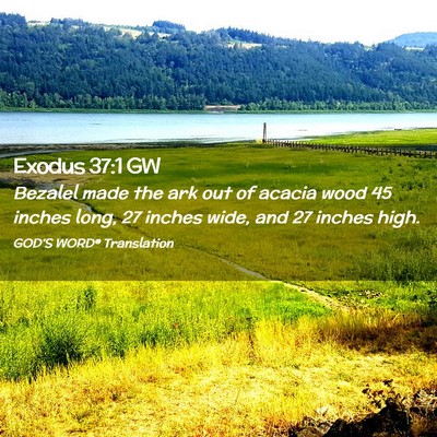 Picture 02 - Exodus 37:1 GW - Bezalel made the ark out of acacia wood 45 inches - Bible Verse Picture