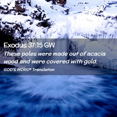 Picture 02 - Exodus 37:15 GW - These poles were made out of acacia wood and were - Bible Verse Picture