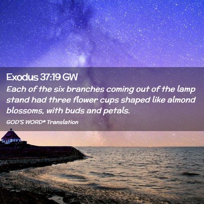 Picture 02 - Exodus 37:19 GW - Each of the six branches coming out of the lamp - Bible Verse Picture