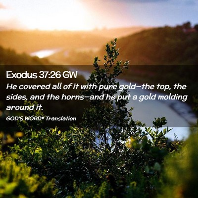 Picture 02 - Exodus 37:26 GW - He covered all of it with pure gold—the top, - Bible Verse Picture