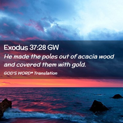 Picture 02 - Exodus 37:28 GW - He made the poles out of acacia wood and covered - Bible Verse Picture