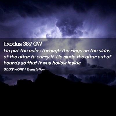 Picture 02 - Exodus 38:7 GW - He put the poles through the rings on the sides - Bible Verse Picture