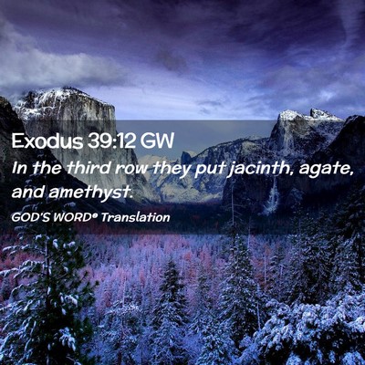 Picture 02 - Exodus 39:12 GW - In the third row they put jacinth, agate, and - Bible Verse Picture