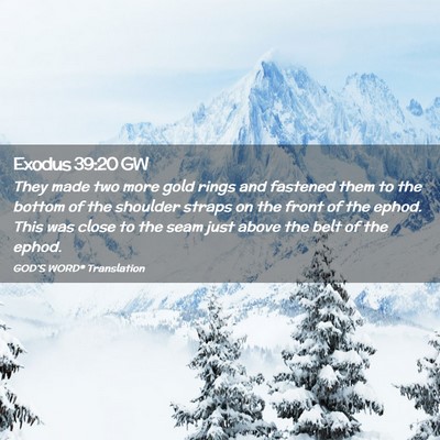 Picture 02 - Exodus 39:20 GW - They made two more gold rings and fastened them - Bible Verse Picture