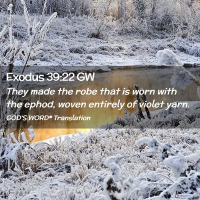 Picture 02 - Exodus 39:22 GW - They made the robe that is worn with the ephod, - Bible Verse Picture