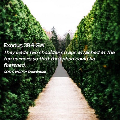 Picture 02 - Exodus 39:4 GW - They made two shoulder straps attached at the top - Bible Verse Picture