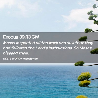 Picture 02 - Exodus 39:43 GW - Moses inspected all the work and saw that they - Bible Verse Picture