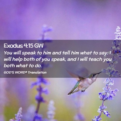 Picture 02 - Exodus 4:15 GW - You will speak to him and tell him what to say. I - Bible Verse Picture