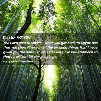 Picture 02 - Exodus 4:21 GW - The Lord said to Moses, “When you get back to - Bible Verse Picture