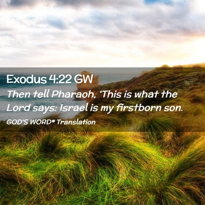 Picture 02 - Exodus 4:22 GW - Then tell Pharaoh, ‘This is what the Lord says: - Bible Verse Picture