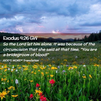 Picture 02 - Exodus 4:26 GW - So the Lord let him alone. It was because of the - Bible Verse Picture