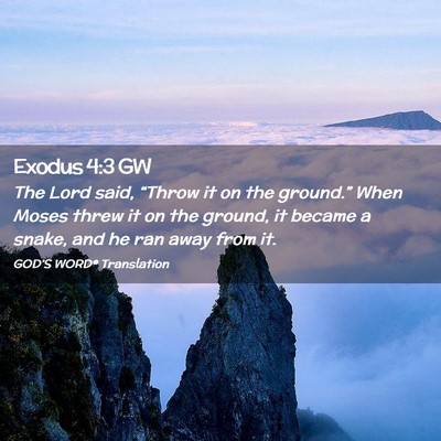 Picture 02 - Exodus 4:3 GW - The Lord said, “Throw it on the ground.” When - Bible Verse Picture