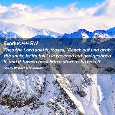 Picture 02 - Exodus 4:4 GW - Then the Lord said to Moses, “Reach out and - Bible Verse Picture
