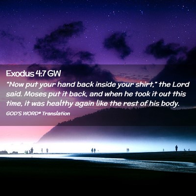 Picture 02 - Exodus 4:7 GW - “Now put your hand back inside your shirt,” - Bible Verse Picture
