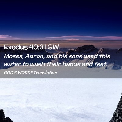 Picture 02 - Exodus 40:31 GW - Moses, Aaron, and his sons used this water to - Bible Verse Picture