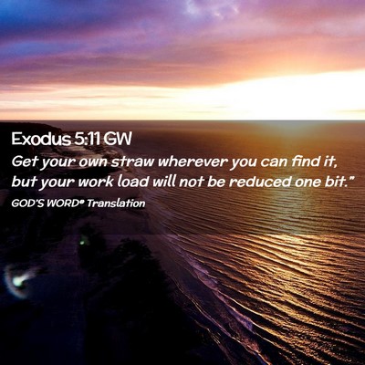 Picture 02 - Exodus 5:11 GW - Get your own straw wherever you can find it, but - Bible Verse Picture
