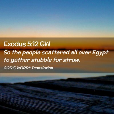 Picture 02 - Exodus 5:12 GW - So the people scattered all over Egypt to gather - Bible Verse Picture