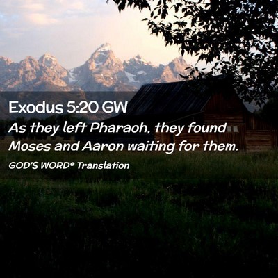 Picture 02 - Exodus 5:20 GW - As they left Pharaoh, they found Moses and Aaron - Bible Verse Picture